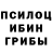 Галлюциногенные грибы GOLDEN TEACHER Victor Kukuruza
