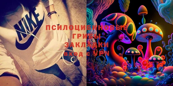 шишки Новодвинск