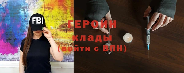 шишки Новодвинск