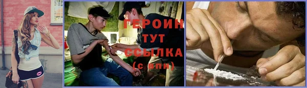 шишки Новодвинск