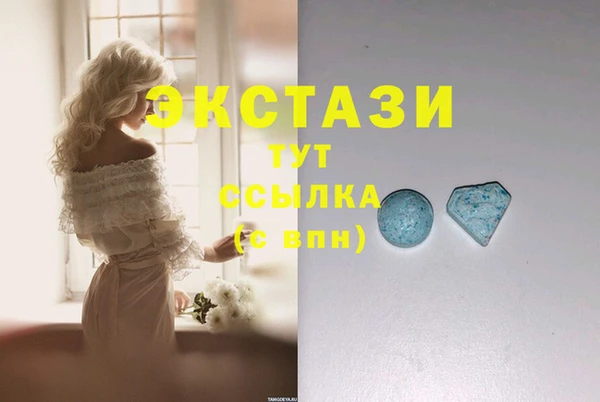 шишки Новодвинск