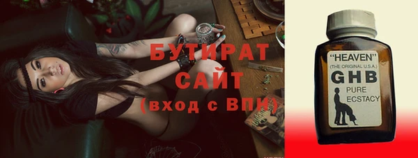 шишки Новодвинск