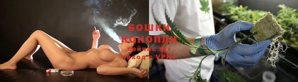 ECSTASY Няндома