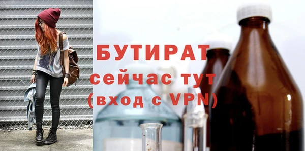 шишки Новодвинск
