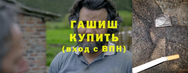 шишки Новодвинск