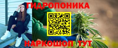 соль ск Гагарин