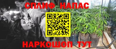 метадон Гатчина