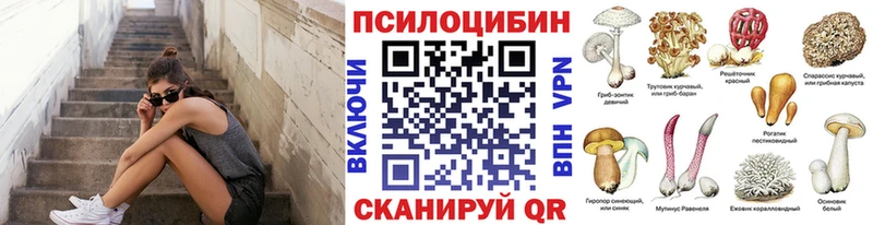 Псилоцибиновые грибы Cubensis Кириши
