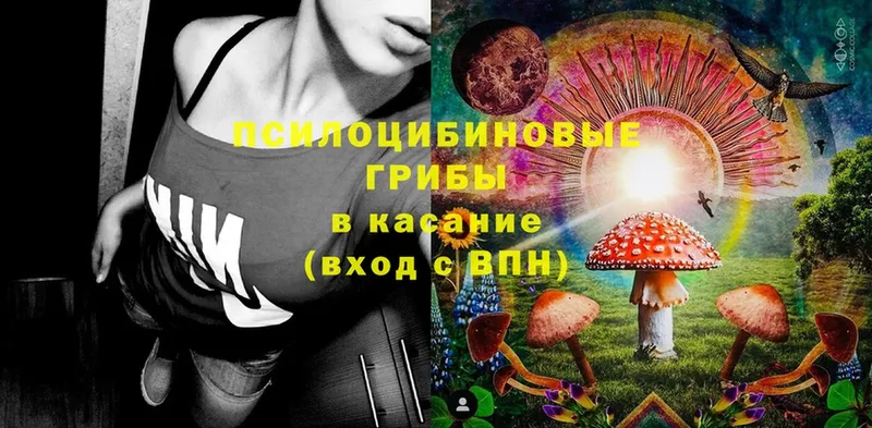 Псилоцибиновые грибы ЛСД  MEGA   Кириши 