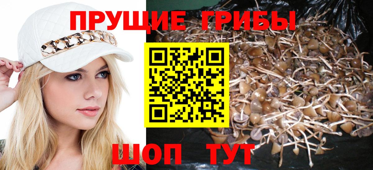 Галлюциногенные грибы Magic Shrooms Кириши