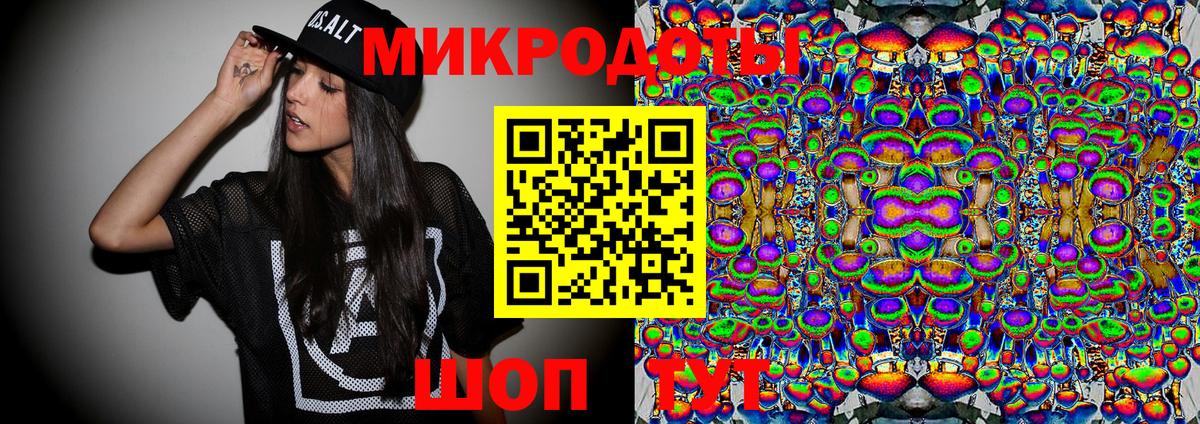 Псилоцибиновые грибы мицелий Кириши